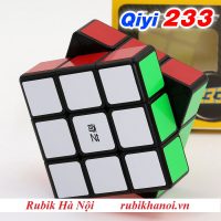 233 QY (4)