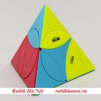 Pyraminx Coin (4)