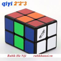 223 QY (5)